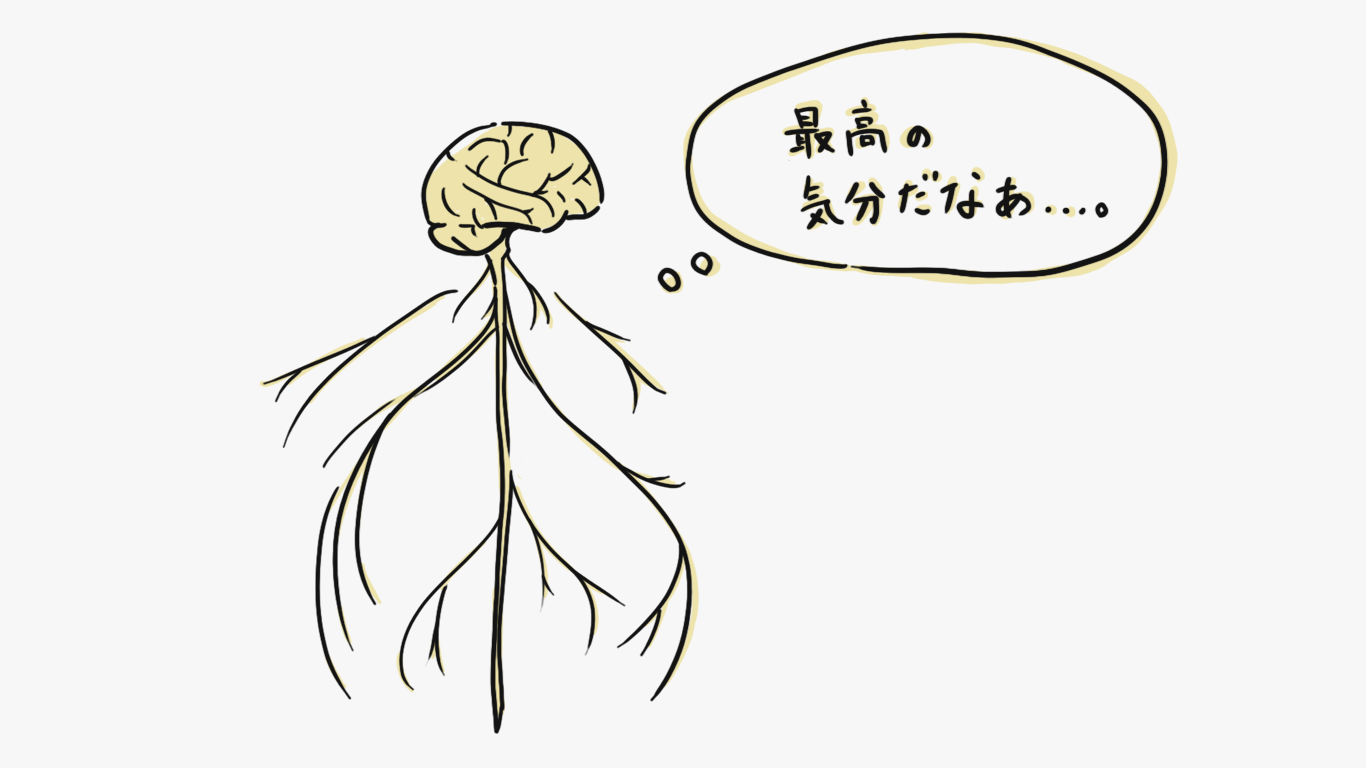 脳と神経の画像